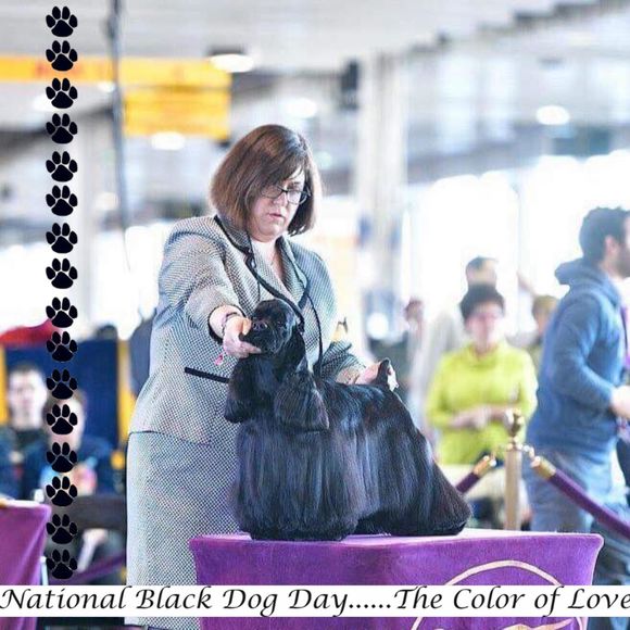 Meet your Posher, Karen - Picture 1 of 1